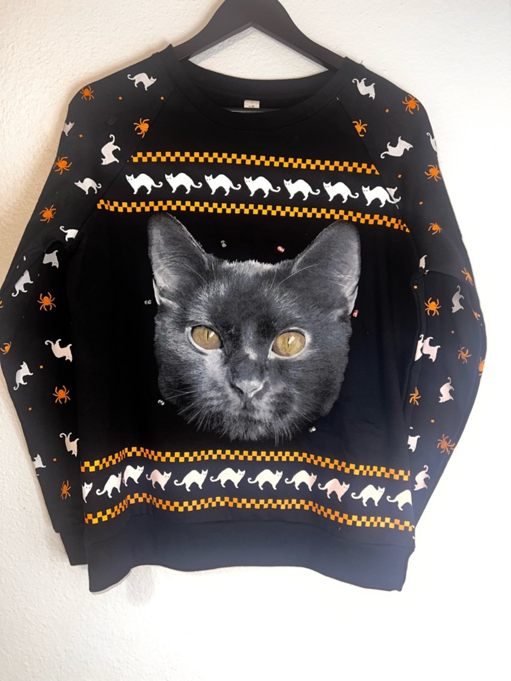Black Cat Graphic Sweatshirt - Pets Cat